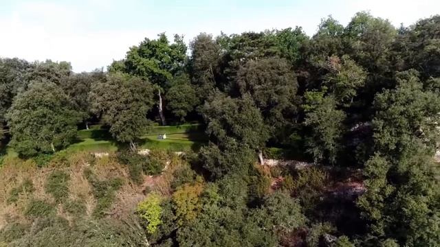 Jardins d'ici et d'ailleurs - Jardins suspendus de Marqueyssac - Vezac - France ? смотреть онлайн