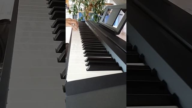 Time to say goodbye - KOKIA (Cover : piano + male vocal) - Julien MARTINOIA - 1.00 - Yamaha p45 смотреть онлайн