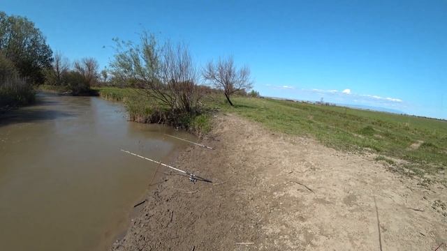 Рыбалка на миниречке. ОГРОМНЫЙ СУДАК ЗА ПУЗО!!! Рыбалка в Алматы. смотреть онлайн