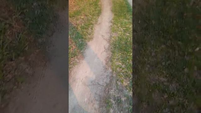 Дача день за днем.Вы такого не видели, сюрприз в конце видео.Подснежники. смотреть онлайн