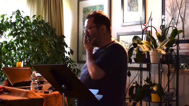 A Portrait of the portuguese Tenor Paulo Ferreira смотреть онлайн