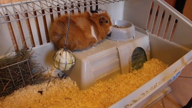 Неудачный Cooking смотреть онлайн