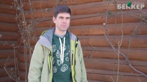 Плетистая роза обрезка весной. Как обрезать плетистую розу? Уход после зимы