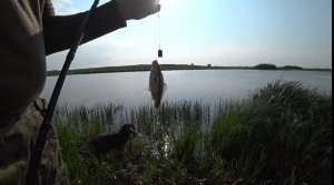 Отличная рыбалка на карася в Московской области