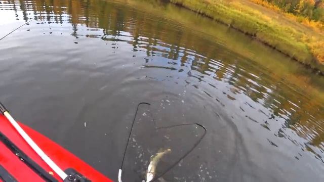 Вот это клёв!!! Крокодилы северных рек! Готовим ужин, блюдо "драный окунь". Рыбалка на севере. Тайг смотреть онлайн