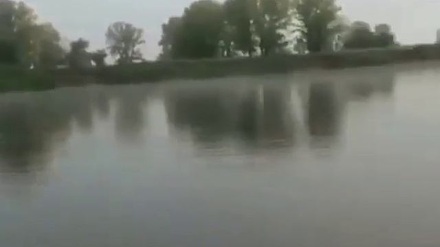 Тюмень, рыбалка, верблюд... ничего необычного)))) смотреть онлайн