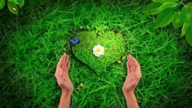 Самопознание 1 урок. 2 класс смотреть онлайн