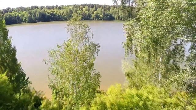 Загородный дом на берегу Бердского залива. Элитная недвижимость. Загородная недвижимость смотреть онлайн