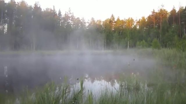 Утро туманное, утро седое смотреть онлайн