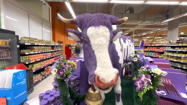 Мой немец муж посещает пивное место (без меня ?) #germany смотреть онлайн