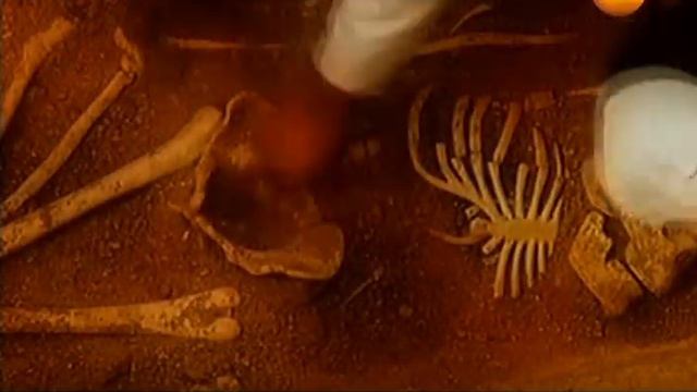 Древний город Мохенджо-Даро. смотреть онлайн