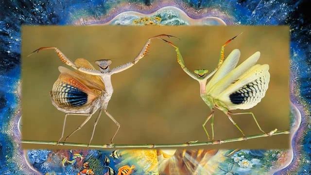 Красота спасет мир 9 сентября День Красоты смотреть онлайн