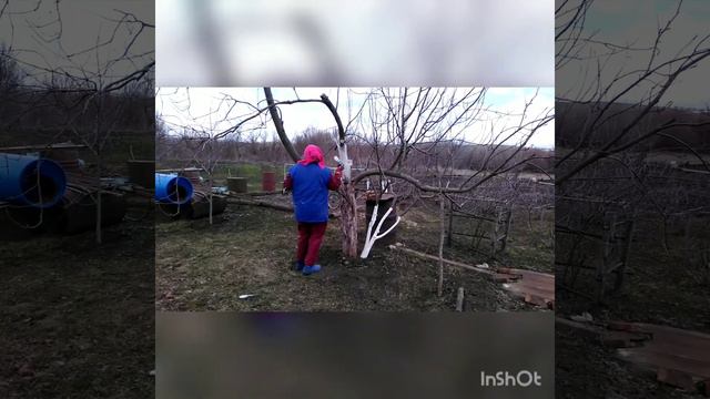 Погода вчера и сегодня. Вода в погребе. смотреть онлайн
