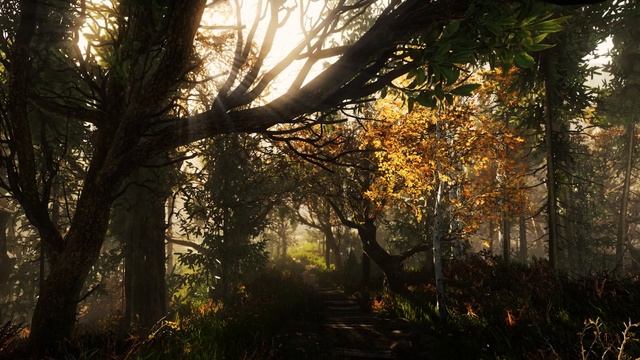 Forest Floor Relaxing - Nature sounds - The Land Of Pain смотреть онлайн