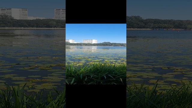 Москва Головинские пруды И сегодня летний денёк смотреть онлайн