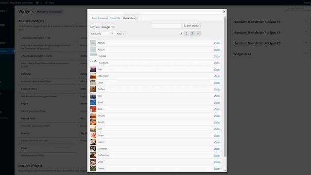 Nuntium Wordpress Newsletter Plugin with Custom Widgets смотреть онлайн