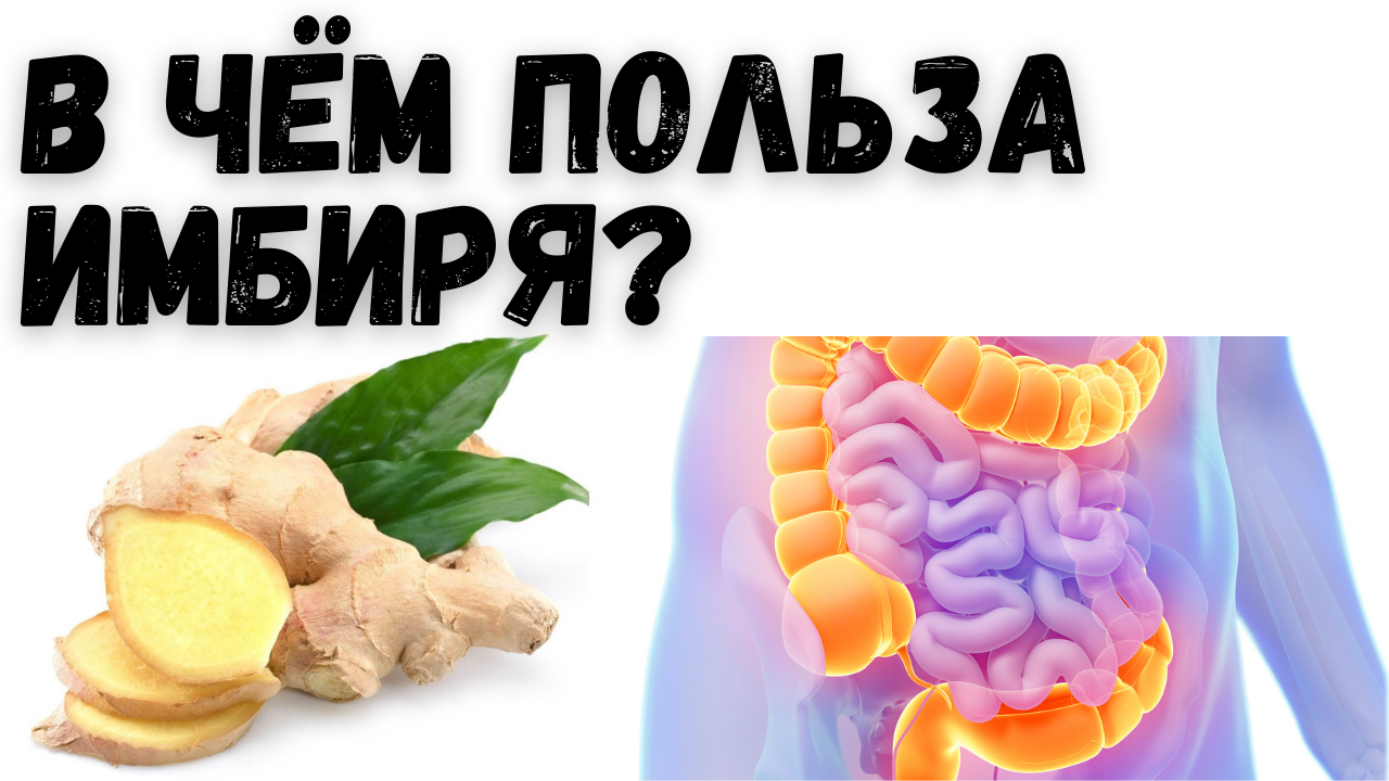 Польза для здоровья имбиря . Чем полезен имбирь? смотреть онлайн