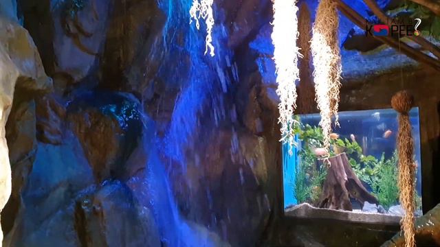 COEX Aquarium. Seoul. Прогулка в выходные. смотреть онлайн
