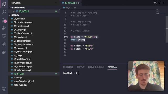 perl5 #18: STDIN, STDOUT, STDERR // How to get user input смотреть онлайн