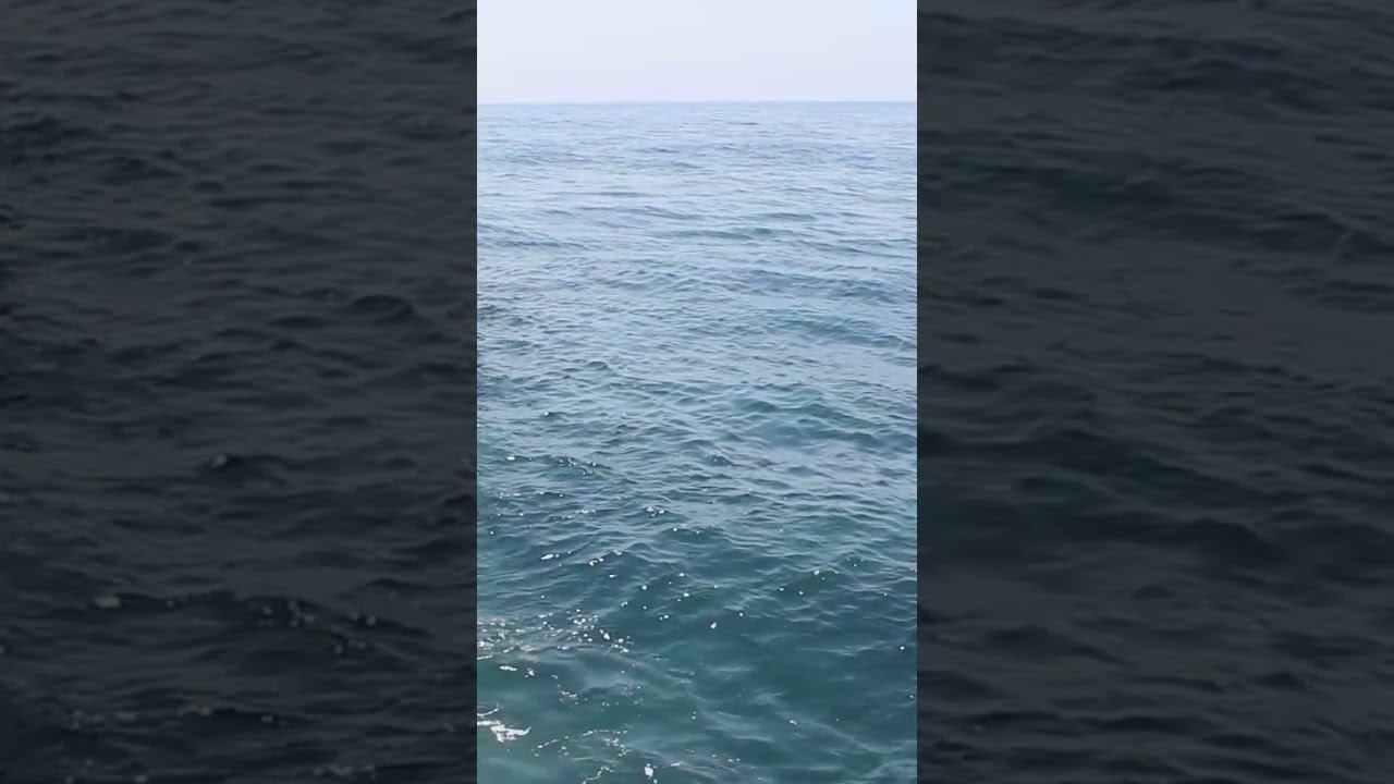 Sea relaxation and the Sound of the Surf смотреть онлайн