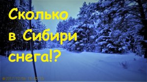 Снег и снег и опять снег !