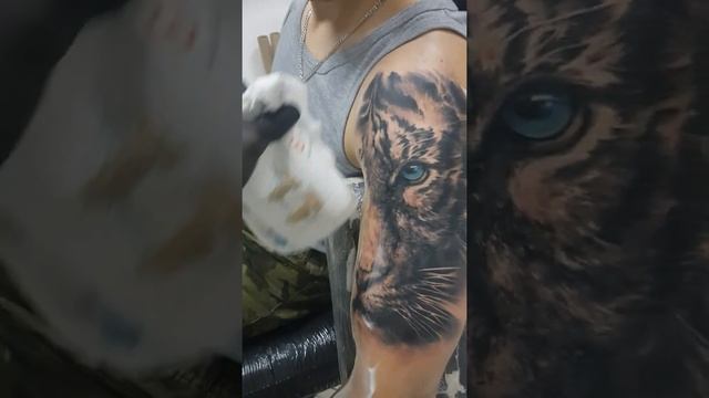 Тигр. Часть тигра на плечо смотреть онлайн