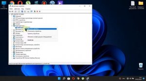 Тормозит курсор  мыши.Windows 11