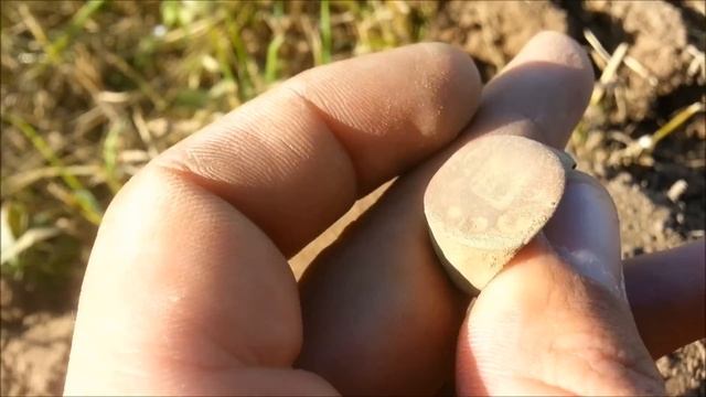 КОПАЕМ под Можайском ВРП-шка XP DEUS смотреть онлайн