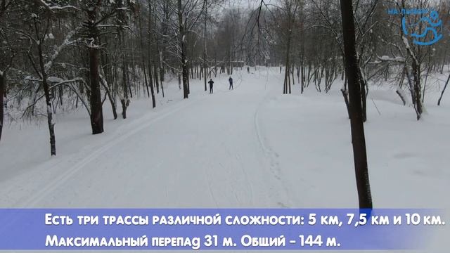 Обзор трассы "Волкуша" - МО (short). Гид - Ольга Подчуфарова. Проект "На лыжи!" смотреть онлайн