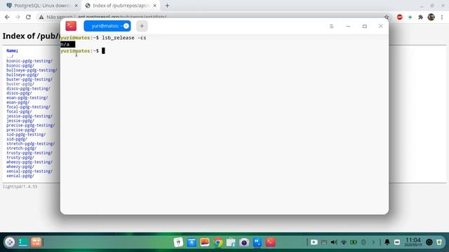 Instalando corretamente o Postgres SQL e o pgAdmin4 no Deepin 20 смотреть онлайн