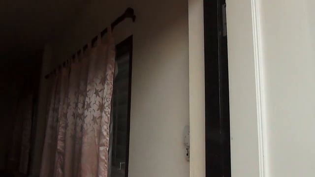 Тайские голуби нас игнорируют