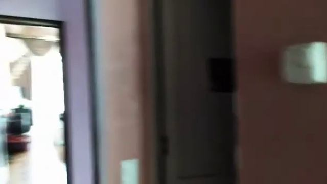 Сочи, Адлер, гостевой дом Эльмира