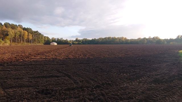 Подготовка почвы к посадке озимого чеснока, после проливных дождей. 04.09.2021 г. смотреть онлайн