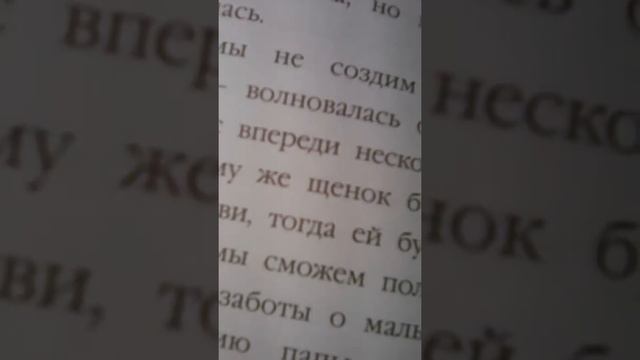 Холли вебб. Щенок Элфи или не хочу быть один! Глава 1(2) смотреть онлайн