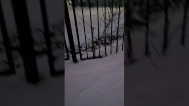 Тула, снег, вечер