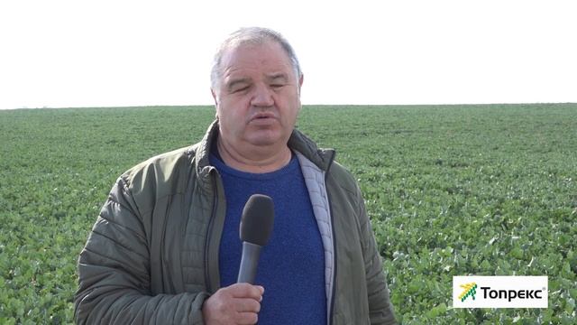 ТОПРЕКС - Растежен регулатор и фунгицид на Синджента смотреть онлайн