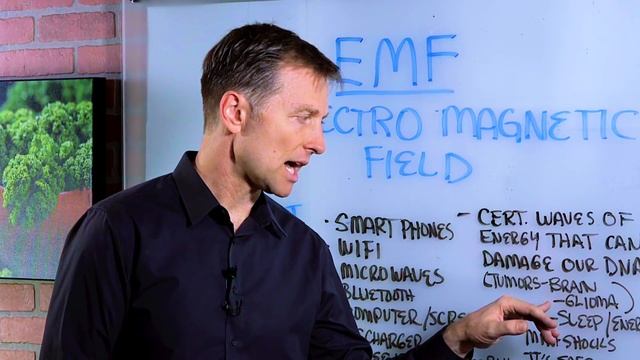 EMFs (Electromagnetic Fields): Cell Phone Radiation Effects on Human Body – Dr. Berg смотреть онлайн