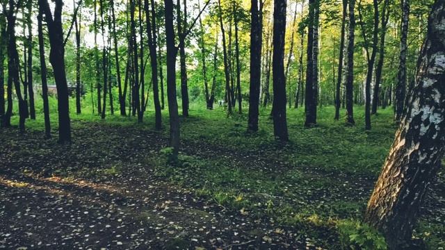Венёв. Прогулка. смотреть онлайн