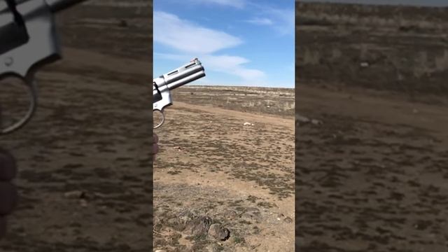 Colt Python Slo Mo 357 #python #coltpython #357 #.357 #rangeday #pistol #colt смотреть онлайн