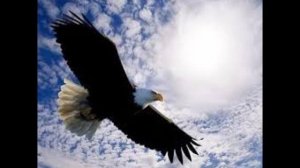 Хаятиль куль...