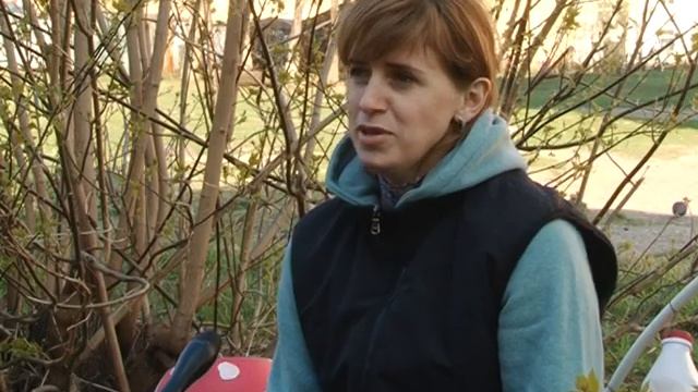 Жители многоквартирного дома самостоятельно приводят в порядок придомовую территорию смотреть онлайн