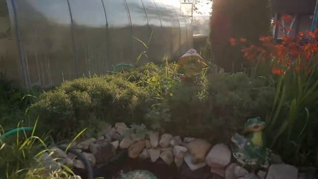 Дачные будни: сад, огород, зона отдыха VLOG Country life: garden and recreation area смотреть онлайн