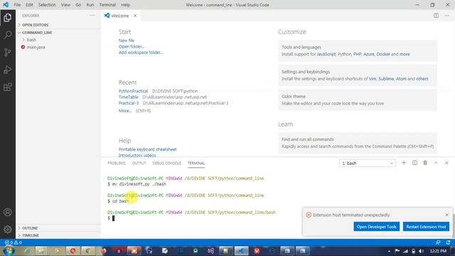 Command Line tutorial with Git Bash - Python Tutorial 06 | Basic To Advance | #divinesoft смотреть онлайн