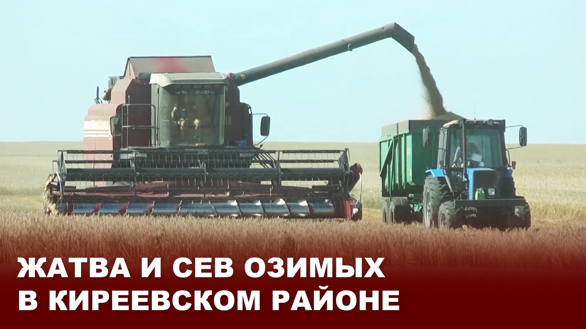 Жатва и сев озимых в Киреевском районе смотреть онлайн