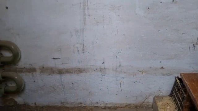 ПЕРЕСЕЛЕНИЕ в другой сарай смотреть онлайн