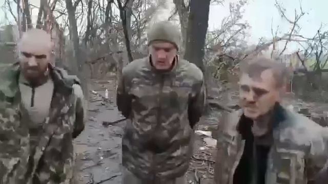 Питер - сила!