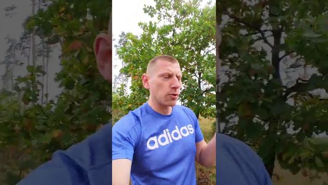 Благодарность, как состояние смотреть онлайн
