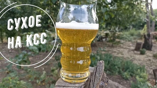 Хмель на вирпул или на главное брожение при +21,а может на КСС при +12?!Способы внесения хмеля. смотреть онлайн