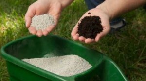 Подсеивание газона.