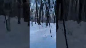 ?самодельный квадроцикл из ваз всех порвал!